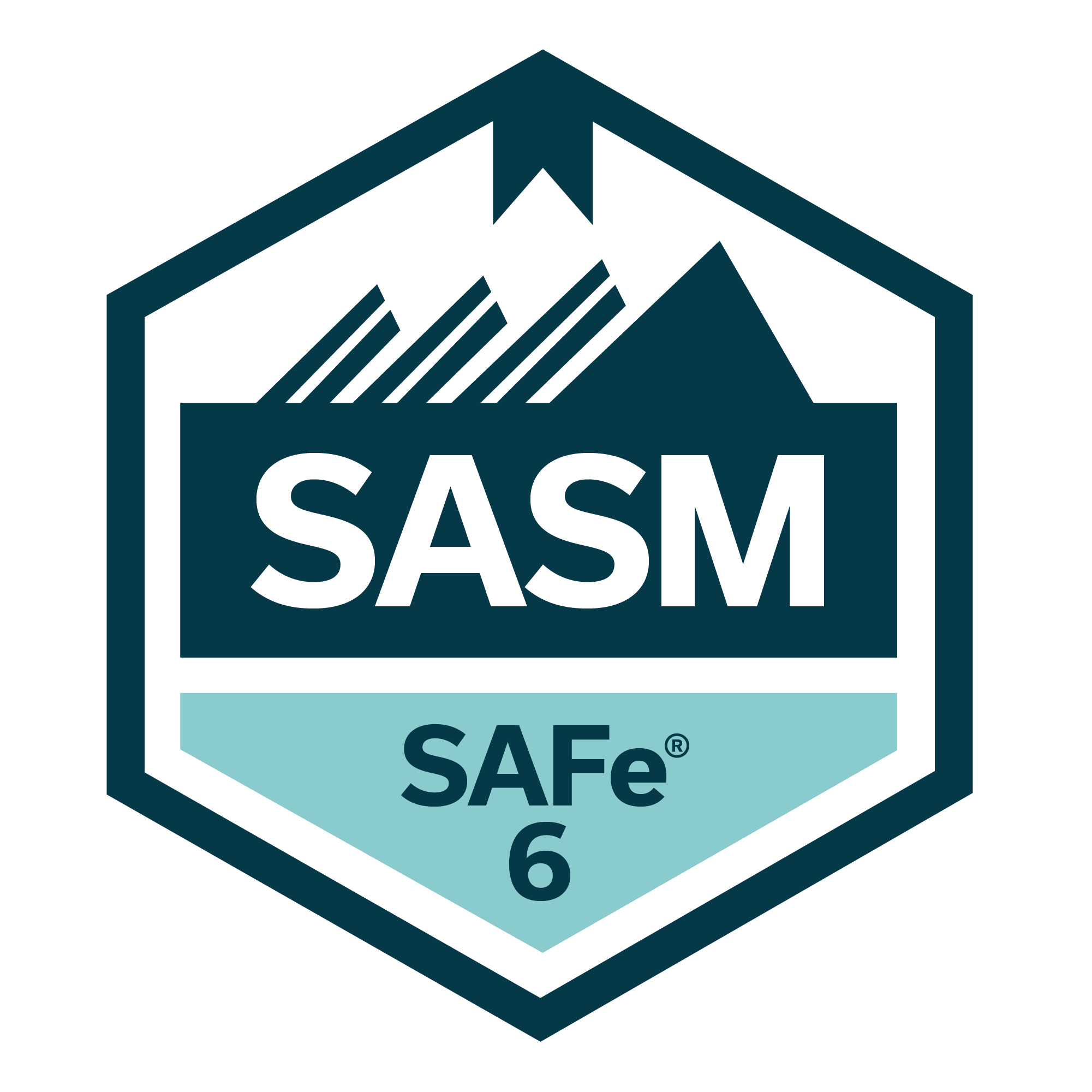 SASM | 2-3 May | 9 am – 5 pm BST | Weekday | 2 days – 8 hrs/day | Best for UK / Europe